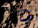 The Luminous Ocean of Spirit – Golden Radiance of Red Agate bracelet - Image 2