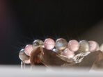 Moonlight Serenity · Cancer Guardian Bracelet - Image 2